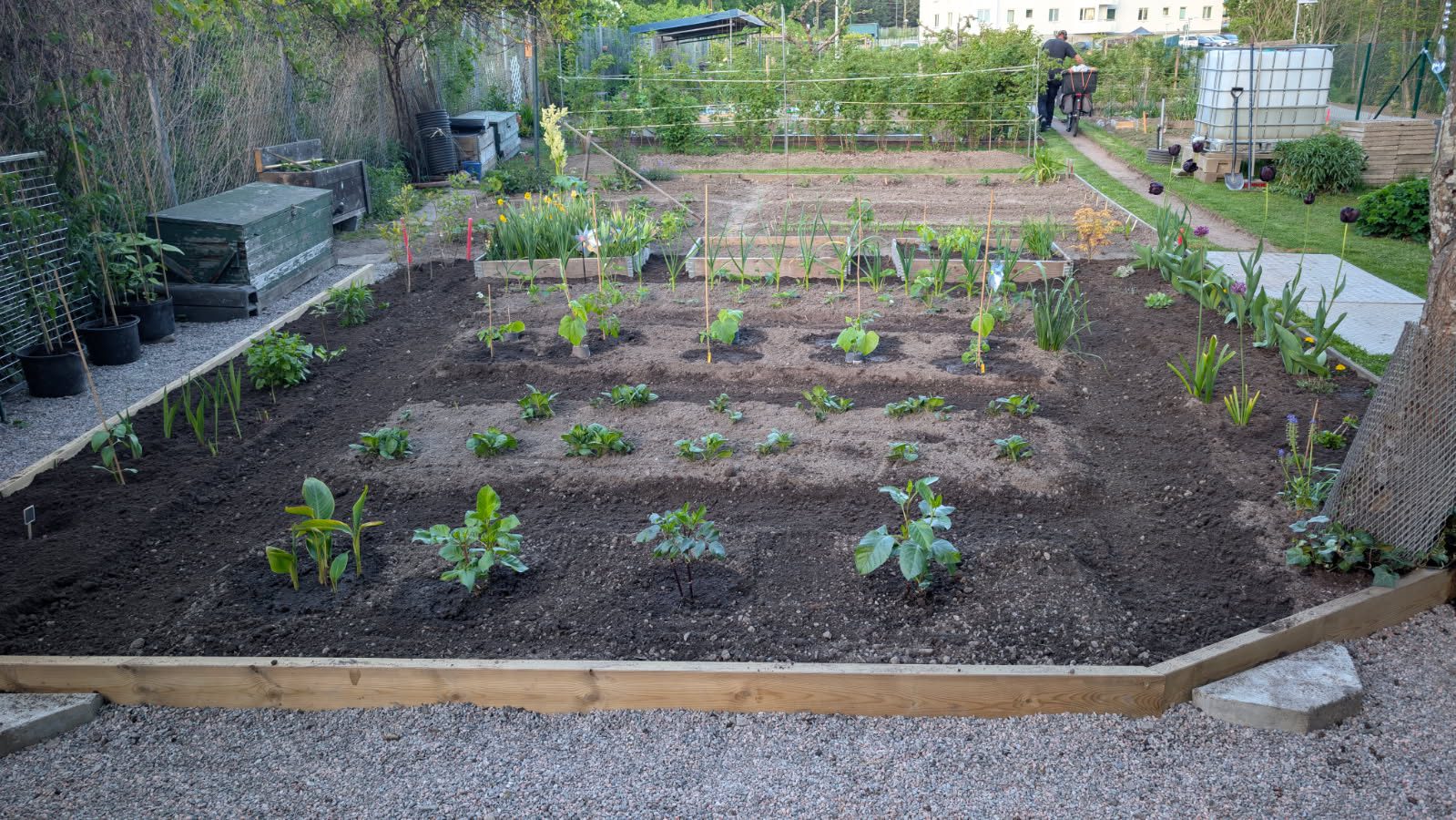Zita är en attraktiv, långhårig blondin, 170 cm lång, på 45 år som arbetar inom vård och omsorg. Hon kommer ursprungligen från Litauen men har bott i Sverige i 15 år. Med sitt varma sätt, sin humor och sin genuina närvaro är hon en person som både ser och lyssnar – och som inte tvekar att stå upp för det som är viktigt.